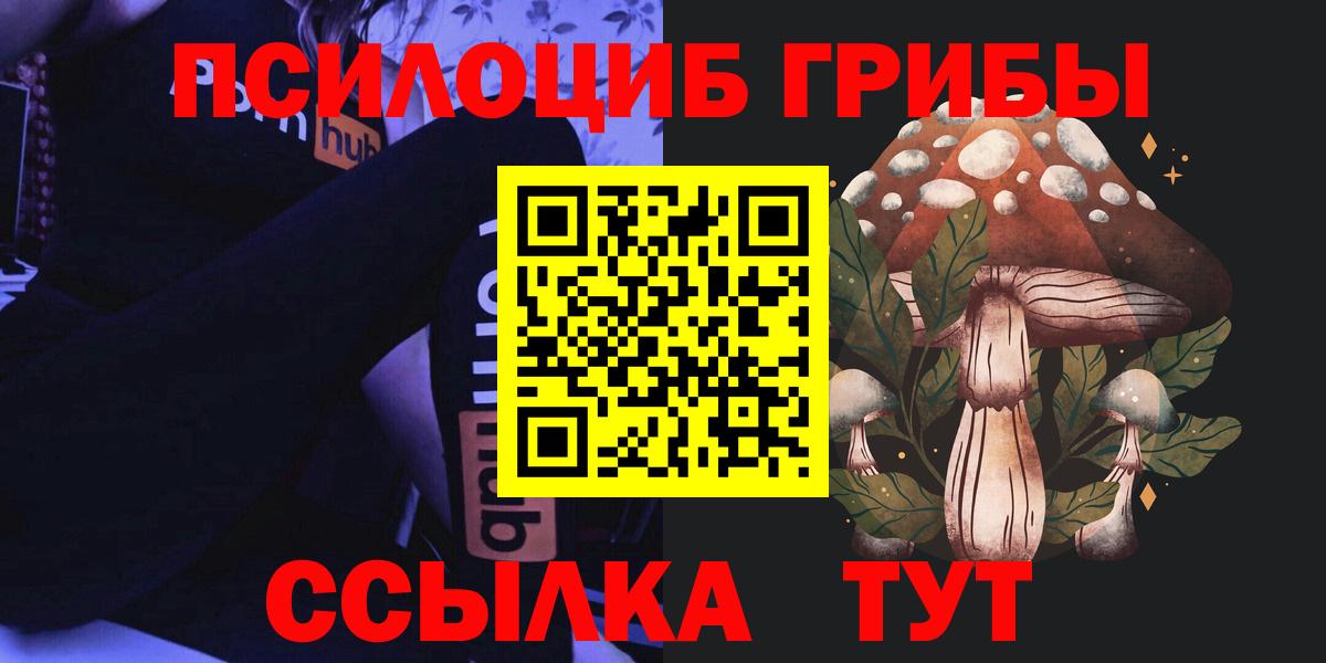 Зеленодольск  Псилоцибиновые грибы GOLDEN TEACHER  Галлюциногенные грибы GOLDEN TEACHER  Вход с VPN 