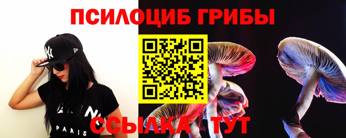 Псилоцибиновые грибы Psilocybine cubensis Зеленодольск